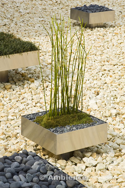 japanese-style-plants-73_14 Японски стил растения