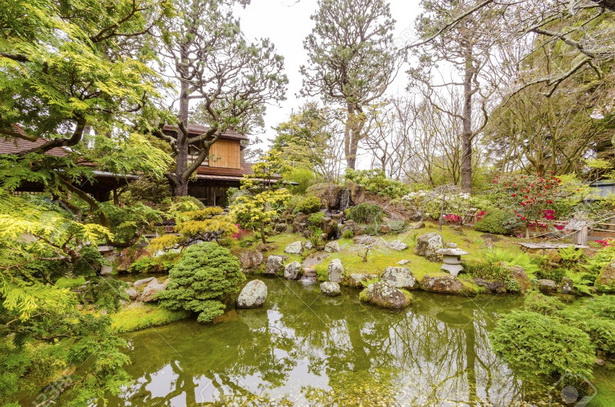 Японски чай градински растения