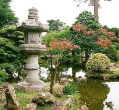 japanese-tea-garden-plants-69_8 Японски чай градински растения
