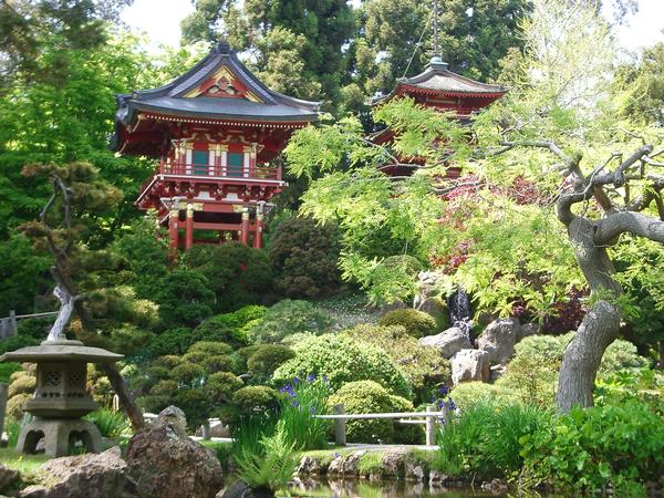 japanese-tea-garden-11_11 Японска чаена градина