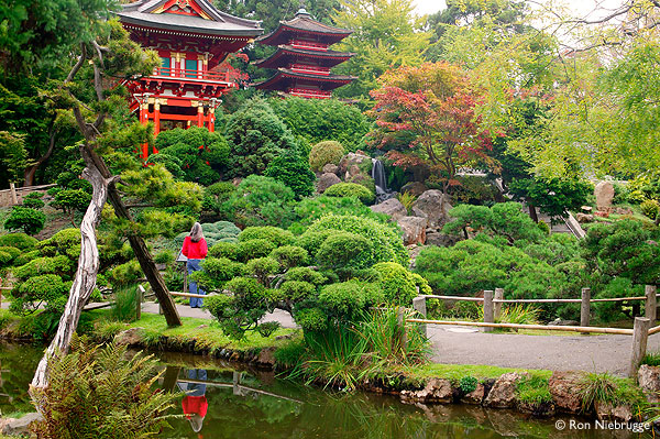 japanese-tea-garden-11_3 Японска чаена градина