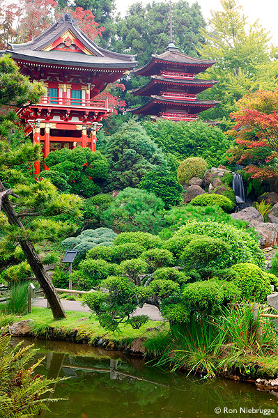 japanese-tea-garden-11_4 Японска чаена градина