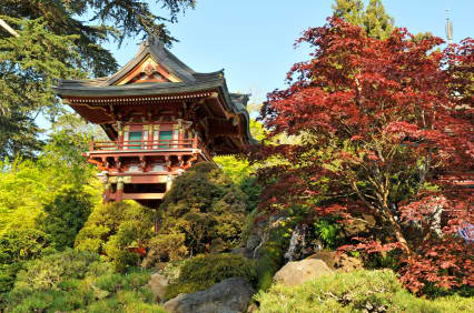 japanese-tea-garden-11_5 Японска чаена градина
