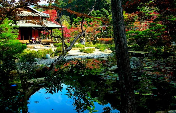 japanese-traditional-garden-55 Традиционна японска градина