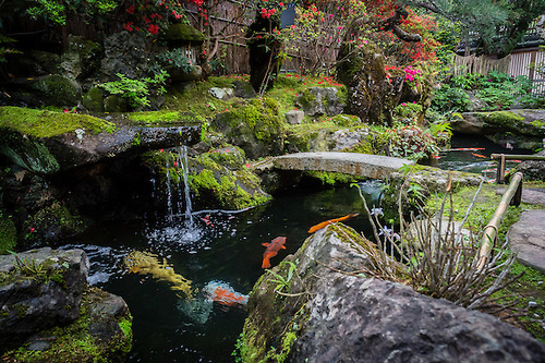 japanese-traditional-garden-55_19 Традиционна японска градина