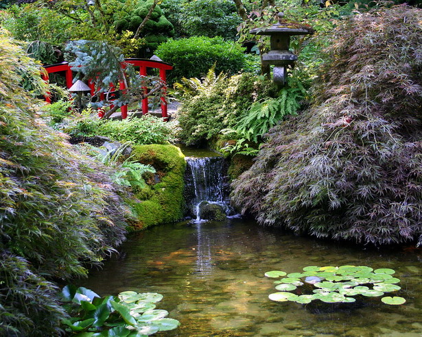 japanese-tranquility-garden-40 Японска градина на спокойствието