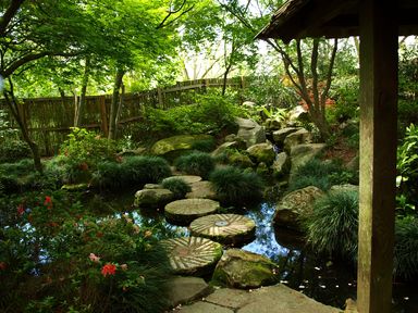 Японски водни градински растения
