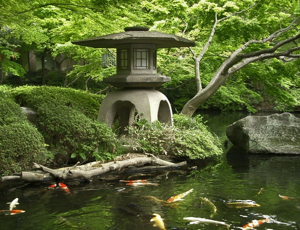 japanese-water-garden-plants-71_2 Японски водни градински растения