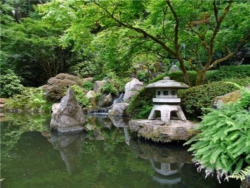 japanese-water-garden-plants-71_7 Японски водни градински растения