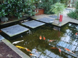 japanese-water-gardens-pictures-94_10 Японски водни градини снимки