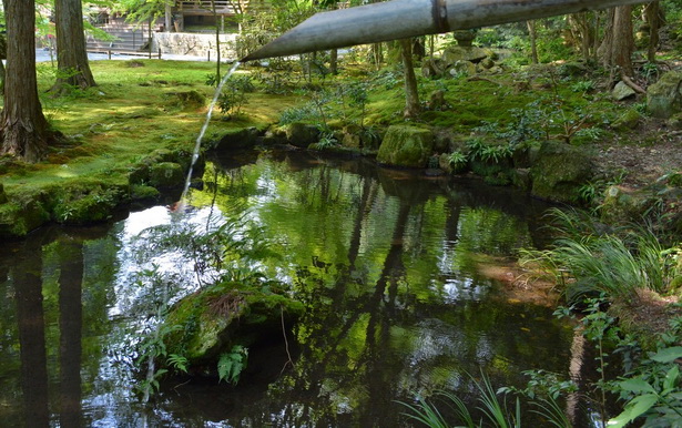 japanese-water-gardens-pictures-94_11 Японски водни градини снимки