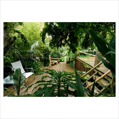 jungle-garden-design-ideas-76 Идеи за дизайн на джунглата градина