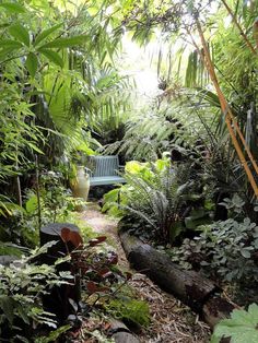 jungle-garden-design-ideas-76_2 Идеи за дизайн на джунглата градина