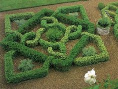 knot-garden-designs-78_6 Възел градински дизайни