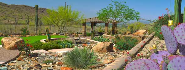 landscape-design-phoenix-arizona-03_2 Ландшафтен дизайн Финикс Аризона