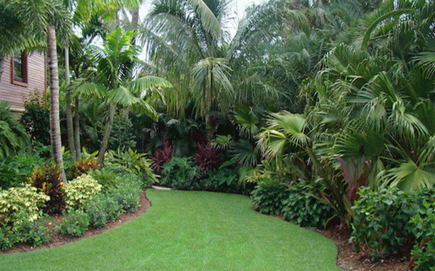 landscape-design-with-palm-trees-09 Ландшафтен дизайн с палми