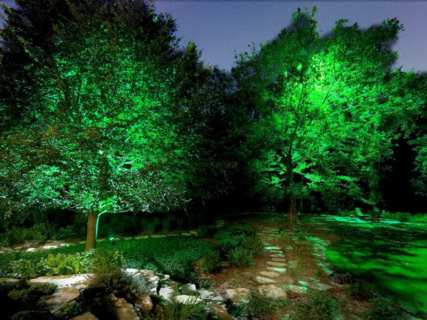 landscape-lighting-ideas-trees-34_5 Пейзаж осветление идеи дървета
