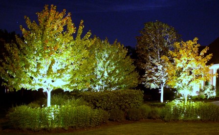 landscape-lighting-trees-48_14 Пейзаж осветление дървета