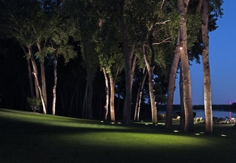 landscape-lights-for-trees-97_18 Пейзажни светлини за дървета