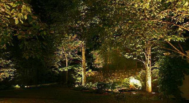 landscape-lights-for-trees-97_5 Пейзажни светлини за дървета
