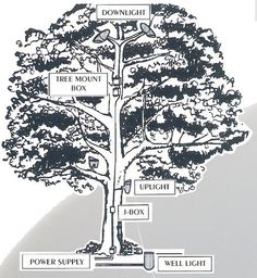 landscape-tree-lighting-ideas-17_2 Идеи за осветление на ландшафтно дърво