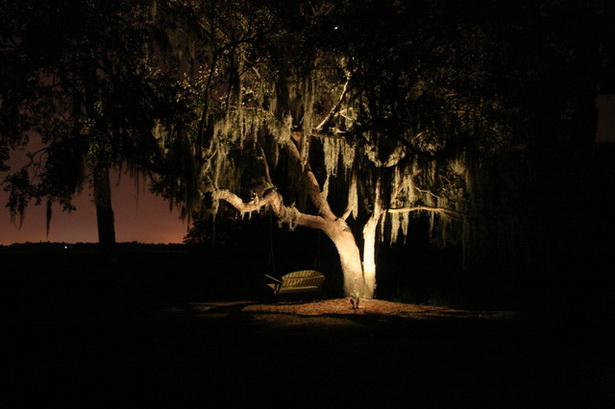 landscape-tree-lighting-25_12 Пейзаж дърво осветление