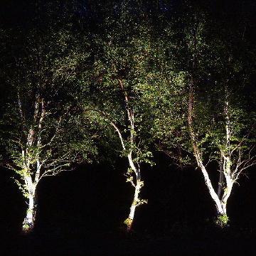 landscape-tree-lighting-25_13 Пейзаж дърво осветление