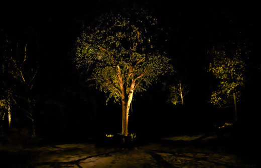 landscape-tree-lighting-25_7 Пейзаж дърво осветление