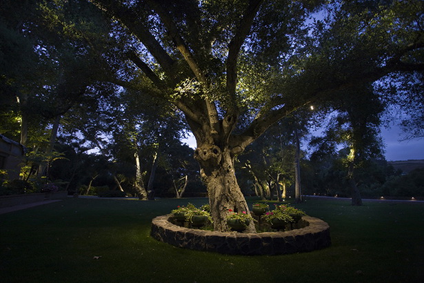 landscape-tree-lighting-25_8 Пейзаж дърво осветление