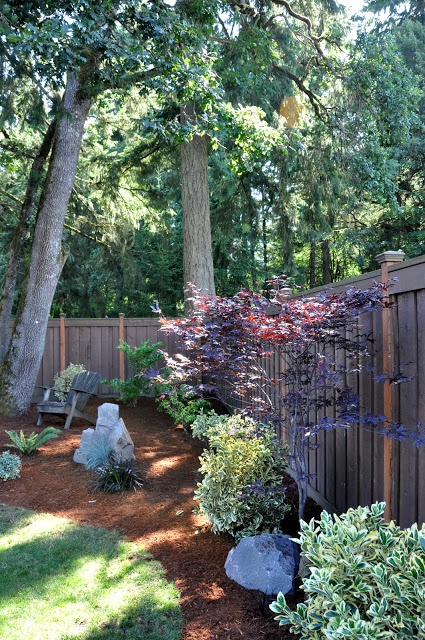 landscaping-a-backyard-from-scratch-12_18 Озеленяване на задния двор от нулата