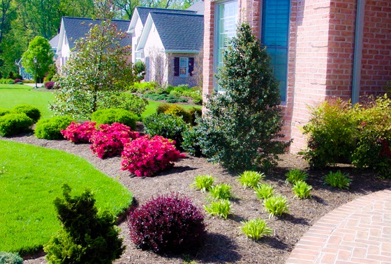 landscaping-a-large-front-yard-81_12 Озеленяване на Голям преден двор