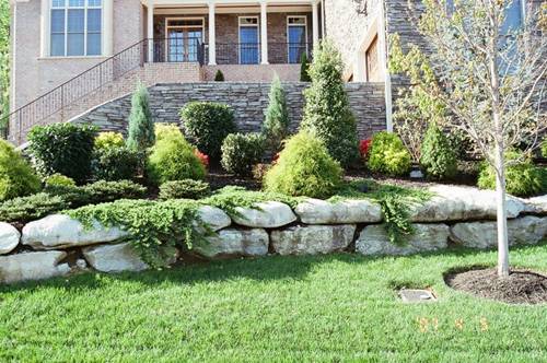 landscaping-a-large-front-yard-81_14 Озеленяване на Голям преден двор