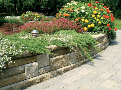 landscaping-a-retaining-wall-88_15 Озеленяване на подпорна стена