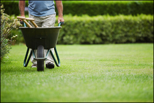 landscaping-and-gardening-services-44_11 Услуги по озеленяване и градинарство