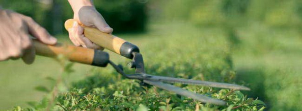 landscaping-and-gardening-services-44_17 Услуги по озеленяване и градинарство