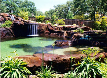 landscaping-around-a-swimming-pool-44_10 Озеленяване около басейн