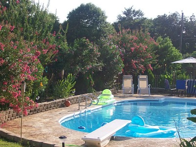 landscaping-around-a-swimming-pool-44_6 Озеленяване около басейн