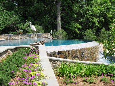 landscaping-around-pools-photos-72_3 Озеленяване около басейни снимки