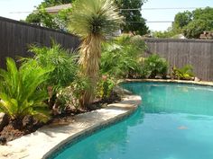 landscaping-around-swimming-pools-13_10 Озеленяване около басейни