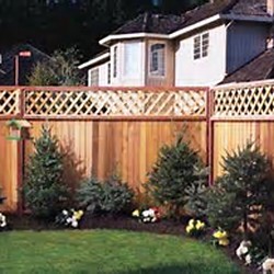 landscaping-fence-54_16 Озеленяване ограда
