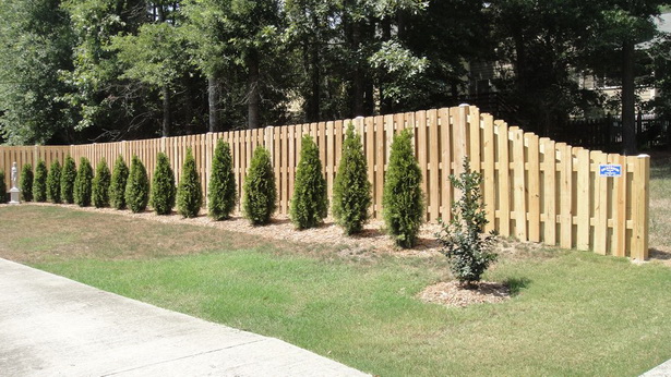 landscaping-fence-54_7 Озеленяване ограда