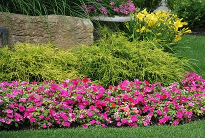 landscaping-flower-beds-64_6 Озеленяване цветни лехи