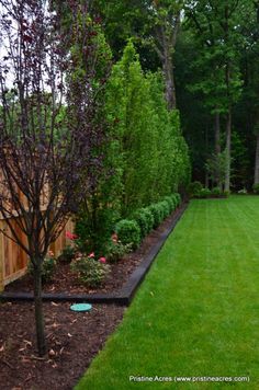 landscaping-for-backyard-43_17 Озеленяване за задния двор
