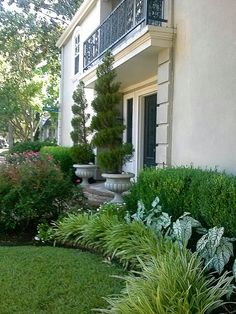 landscaping-for-front-yard-with-pictures-53_10 Озеленяване на преден двор със снимки