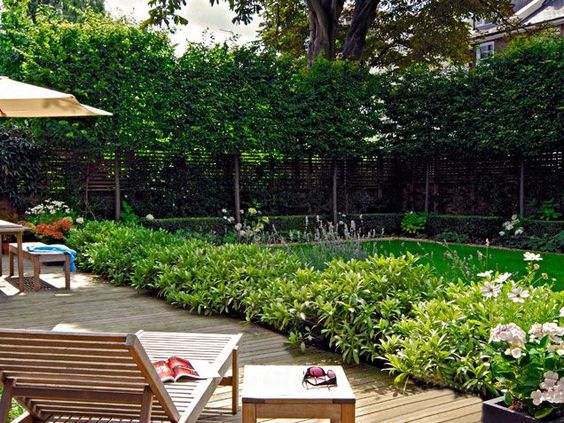 landscaping-for-privacy-in-small-backyard-13_11 Озеленяване за поверителност в малък заден двор