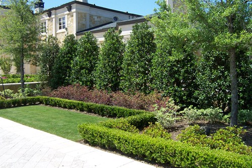 landscaping-for-privacy-in-small-backyard-13_3 Озеленяване за поверителност в малък заден двор