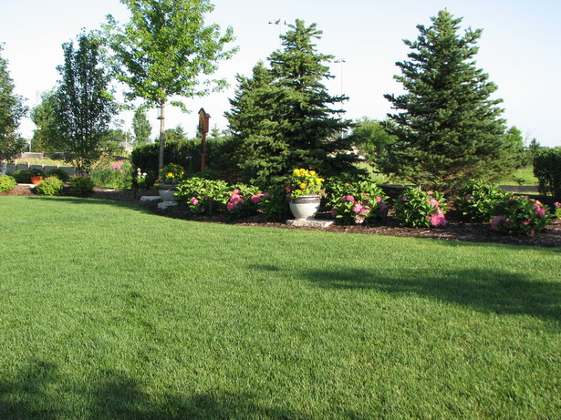 landscaping-for-privacy-in-small-backyard-13_6 Озеленяване за поверителност в малък заден двор