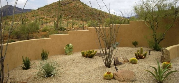 landscaping-ideas-for-desert-climates-57_11 Озеленяване идеи за пустинен климат