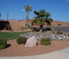 landscaping-ideas-for-desert-climates-57_3 Озеленяване идеи за пустинен климат
