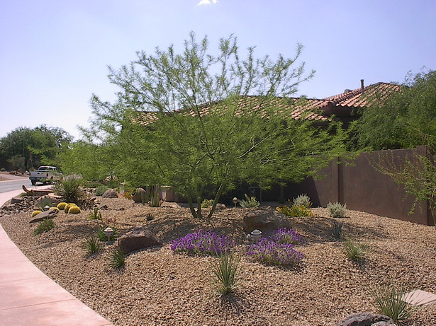 landscaping-ideas-for-desert-climates-57_5 Озеленяване идеи за пустинен климат